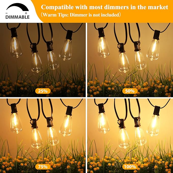 Brightever 100FT ST38 Outdoor String Lights with 60FT S14 LED String Lights