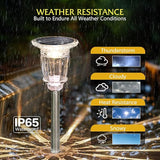 Solar Pathway Lights Outdoor 2 Pack, 3 Lighting Modes Glass and Stainless Steel White Solar Garden lights, 17.3" | Lumora