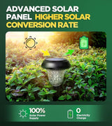 10 Pack Ultra Bright Solar Lights Outdoor Waterproof, from Dusk to Dawn Up to 12H Solar Light for Outside, Auto | Lumora
