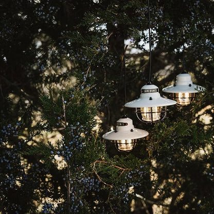 Barebones Edison Pendant String Lights - Vintage White, 3 Edison-Style LED Bulbs with 10-Foot Cord, Energy-Efficient Outdoor Lanterns for Patio, Garden, or Indoor Decor