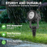 Solar Spotlights Outdoor Waterproof, Warm White Landscape Spotlights, Decorative Solar Spot Lighting for Garden | Lumora