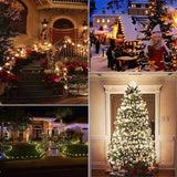 Brightown C9 LED Christmas String Lights, 66ft 100 LED Waterproof Strawberry String Lights, Plug-in Extendable | Lumora