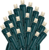 Novelty Lights 25ft 50 LED Warm White Christmas Lights Outdoor/Indoor, 6" Spacing, Green Wire String Lights for | Lumora