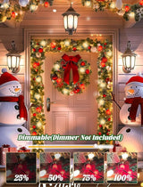 25Ft LED C9 Red and White Christmas Lights Outdoor, C9 Vintage Christmas Lights with 26 LED Red and White Bulbs | Lumora