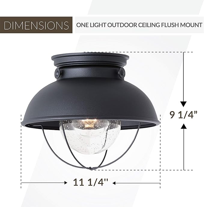 Sea Gull Lighting 8869-12 Sebring Transitional One - Light Outdoor Ceiling Flush Mount Outside Fixture, Black Finish