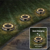 Member Marks Solar Disc Lights (5-Pack) - Ultra-Bright 30 Lumens Outdoor Garden Lights - Warm White & Color | Lumora
