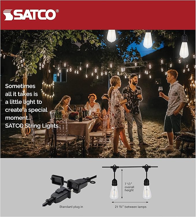 Satco S8036 LED Indoor/Outdoor String Lights, Black, ST19 Bulbs, 24 Feet (Pack of 1)