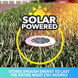Bell+Howell Swivel Disk Lights Solar-Powered In-ground 8-LED Flat & Landscape Lighting for Outdoor, Yard, Garden & | Lumora