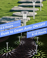 Mini Solar Pathway Lights Christmas Outdoor 12 Pack Waterproof Upgraded Bright LED Solar Garden Lights Stainless | Lumora