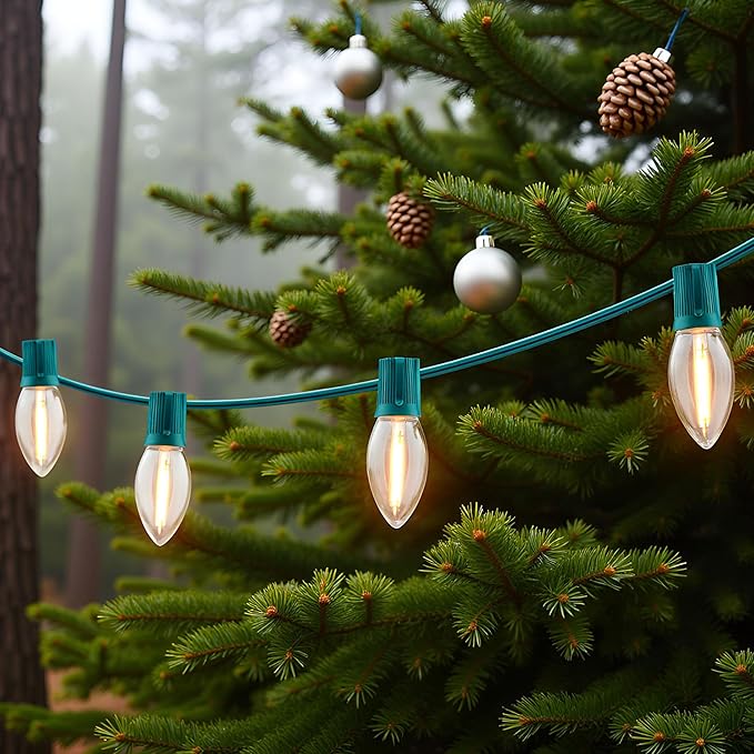 YULETIME Warm White C9 LED Christmas Lights, 25 Feet 25 Count 12" Spacing Clear Smooth Bulbs UL Certified Outdoor String Light Set (Warm Clear)