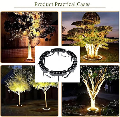 Outdoor Ring Tree Light - AC 24V Colored LED IP65 Waterproof Palm Tree Uplighting with Adjustable Tree Rings, Expandable Interlocking LED Uplighting or Downlight for Trees/Roman Columns(For expanding)