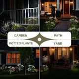 Solar Garden Lights Outdoor: Waterproof 2-Pack DIY Decorative Firework Lights with 2 Modes for Yard Patio Pathway | Lumora