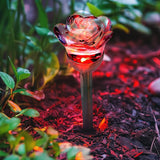 Crosslight LED Rose Garden Stake Lights (4 Pack) - Waterproof RGB Color Changing Outdoor Decoration Perfect for | Lumora