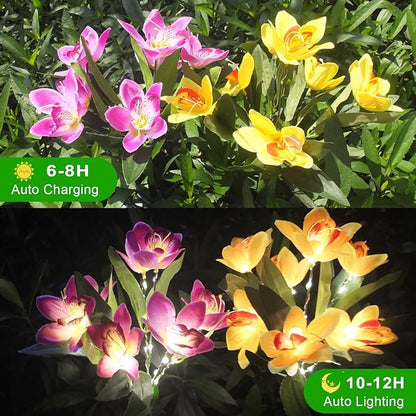 Solar Flower Lights, 2 Pack Solar Flowers with 14 Blooming Purple & Yellow Orchids, Waterproof Outdoor Decorative Lights for Garden, Yard, Patio, Pathway, Lawn, Flowerbed, Grave, Cemetery Decor
