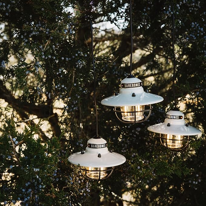 Barebones Edison Pendant String Lights - Vintage White, 3 Edison-Style LED Bulbs with 10-Foot Cord, Energy-Efficient Outdoor Lanterns for Patio, Garden, or Indoor Decor