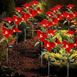 2 Pcs Solar Garden Lights,IP65 Waterproof Solar Poinsettia Flowers Lights Landscape Lighting,Simulation Poinsettia | Lumora