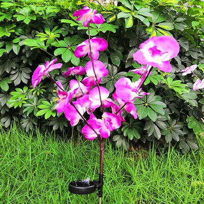 2pcs Solar Garden Orchid Flower Pathway Lights Outdoor Waterproof Pink Solar Landscape Lighting for Patio Yard Walkway