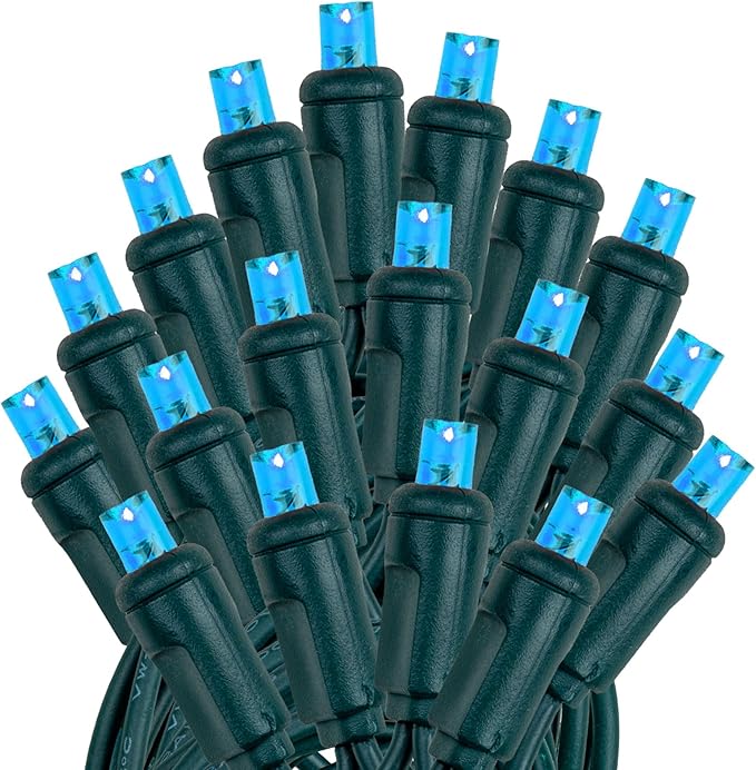 Novelty Lights 25ft 50 LED Teal Christmas Lights Outdoor/Indoor, 6" Spacing, Green Wire String Lights for Festive | Lumora