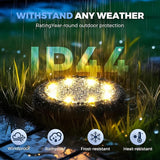 SOLPEX Mini Solar Ground Lights, 12 Pack Solar Lights Outdoor Waterproof, Landscape Lighting for Garden Pathway | Lumora