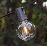 Hometown Evolution, Inc. G50 2" LED Filament Outdoor Patio String Lights with 0.6 Watt Light Bulbs (G50 LED - Black | Lumora