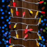 ‎‎‎Novelty Lights 24FT 70 LED C6 LED Mardi Gras String Lights, Outdoor Christmas Tree Commercial Grade LED String | Lumora