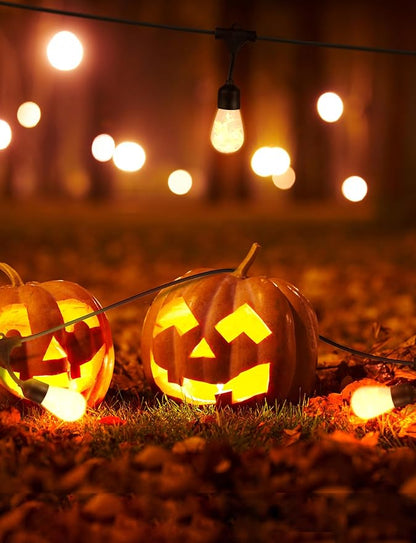 Brightech Ambience Pro Solar Powered LED Outdoor String Lights - 27 Ft Commercial Waterproof Patio Lights with Flaming, Flickering Bulbs - Shatterproof String Lights for Halloween, Porch, Deck