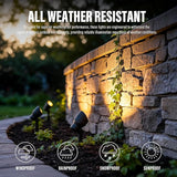 VENUS MANUFACTURING Landscape Lighting Low Voltage Landscape Spotlight Kits 20W Halogen Outdoor 145 Lumen Black | Lumora