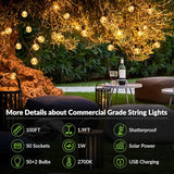 100FT G40 Solar String Lights, Globe Outdoor String Lights with 52 E12 Waterproof LED Bulbs, 2700K Shatterproof | Lumora