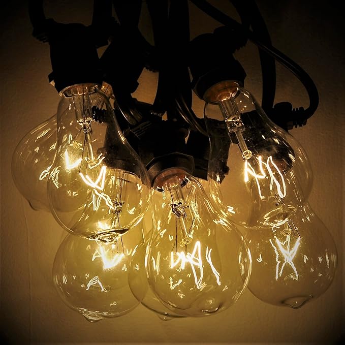 Hometown Evolution, Inc. Commercial Grade Vintage Edison Outdoor String Lights (PS50 Clear - Commercial Black Wire | Lumora