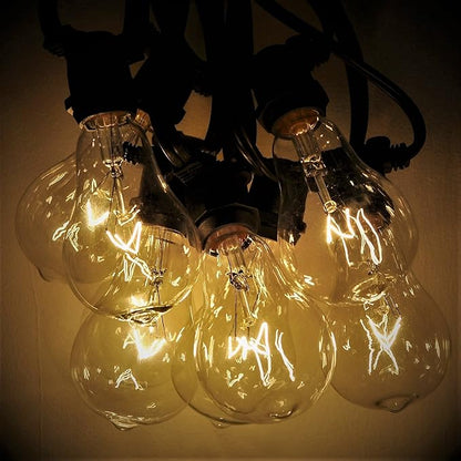 Hometown Evolution, Inc. Commercial Grade Vintage Edison Outdoor String Lights (PS50 Clear - Commercial Black Wire, 100 ft)