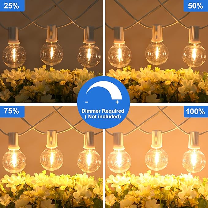 Bosceos Outdoor G40 LED Globe String Lights 25FT Dimmable Shatterproof Waterproof Patio Lights with 12+2 Bulbs | Lumora