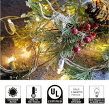 Christmas Lights 50 LED 17FT Commercial Mini LED String Lights, 120V UL, White Wire Xmas Lights for Indoor & | Lumora