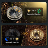 Glass Solar Ground Lights with Ray Style, Modular-Design Waterproof In-Ground Light for Patio Pathway Lawn Yard | Lumora