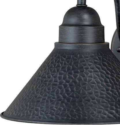 VAXCEL Outland 9 in. H 1-Light Aged Iron and Light Gold Dusk to Dawn Sensor Farmhouse Outdoor Wall Sconce, Gooseneck Metal Shade, Dark Sky Compliant for Exterior Porch Patio Front Door or Garage