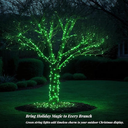 200 LED Green String 66ft, Plug in Fairy with 8 Modes, Indoor Outdoor Decoration for St. Patrick's Day, Christmas, Garden, Bedroom, Patio (Green, 200 LEDs, 66ft)
