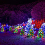 Homeleo 6-Pack Solar Small Christmas Trees for Outdoor Decorations, 120 LED Artificial Prelit Christmas Tree, Solar | Lumora
