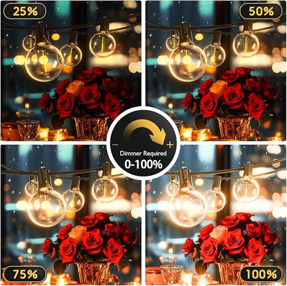 G40 Globe String Lights 60ft LED Shatterproof Hanging Patio Lights, 20+2 Bulbs, Waterproof Connectable for Indoor Outdoor Decor Garden Camping Backyard Valentine's Day Gifts for Men Him Hubby