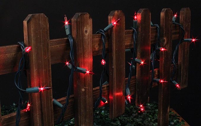 LAMPHOME Christmas String Light,100 Count Incandescent Mini String Light in 21.6ft,Indoor/Outdoor 120V UL Certified Mini Light for Christmas,Wedding,Patio Lawn,Home,Garden,Party,Store (Red)