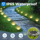 Peasur Mini Solar Ground Lights, 6 Pack Flat Solar Disc Lights Outdoor Waterproof, 2.3 Inch Small Solar Garden | Lumora