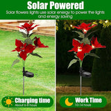 2 Pcs Solar Garden Lights,IP65 Waterproof Solar Poinsettia Flowers Lights Landscape Lighting,Simulation Poinsettia | Lumora