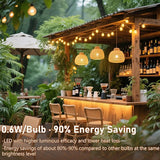100Ft Chirstmas LED G40 Globe Outdoor String Lights Waterproof Patio Lights with 52 Shatterproof Warm White Bulbs | Lumora