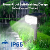 Solar Spot Lights Outdoor Waterproof IP65,6 Pack,Cool Light, 2 Lighting Modes Selectable, Solar Powered Yard Garden | Lumora