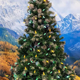 Novelty Lights 24FT 70 LED C6 Christmas String Lights, Outdoor Tree Commercial Grade LED Lights, Permanent | Lumora