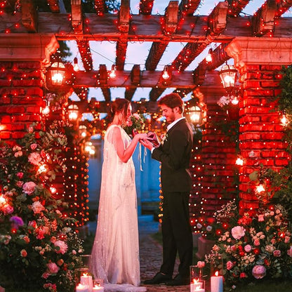 Red Christmas Lights Outdoor, 100FT 300 LED Christmas Tree Lights with 8 Modes Waterproof, Plug in Connectable String Twinkle Lights Green Wire for Indoor Patio Garden Xmas Holiday Decorations
