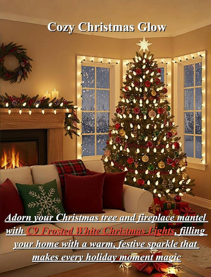25ft Warm White Christmas Lights Outdoor,Frosted White Christmas Lights with 26 Incandescent Bulbs(1 Spare),Hanging Vintage Christmas Light for Patio Holidays Christmas Tree Decor