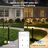 XMCOSY+ Smart Solar Lights Outdoor with Motion Sensor, 150LM APP Control RGBCW Color Changing Solar Garden Lights | Lumora
