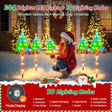 12 Pack Taller Solar Christmas Lights Outdoor with USB, Upgraded 10 Modes Christmas Tree Candy Cane Light with 204 | Lumora
