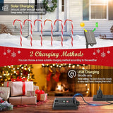 12 Pack Christmas Decorations Outdoor Solar Candy Cane Lights, Solar Christmas Pathway Lights with USB Charge, 10 | Lumora