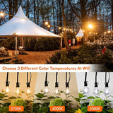 100FT LED Outdoor String Lights with 3 Color Lights, Dimmable String Lights for Outside with Remote, G40 Globe | Lumora