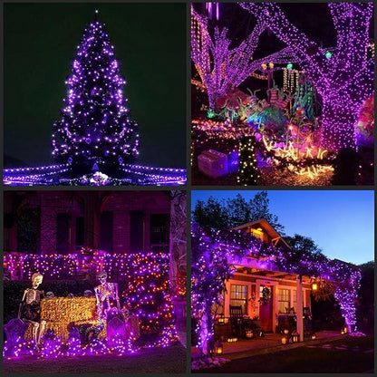 YULETIME 200 Purple LED Christmas Lights with Black Wire, Pack of 2 Strands 33 Feet 100 Lights UL Certified Holiday String Light Set